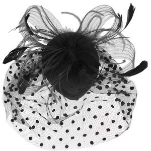 Fascinator Bird Cage Hat Pill Box Hat with Veil